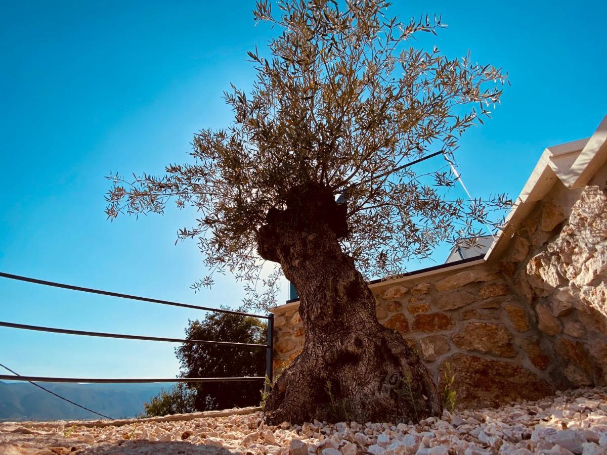 Villa Magic Look Donji Proložac Buitenkant foto